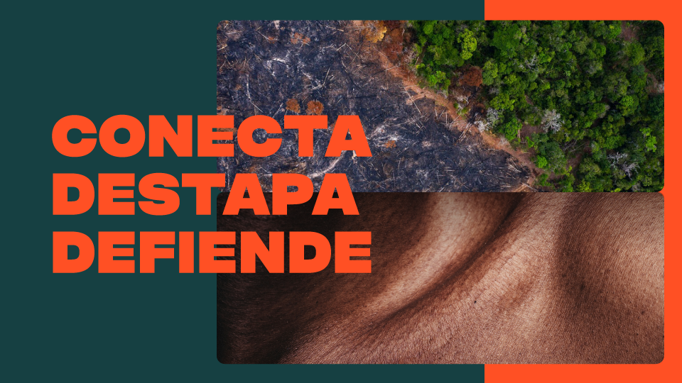 Conecta,destapa, defiende